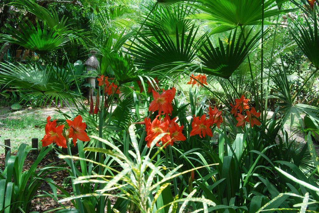 Mata N'Ativa Pousada Trancoso Buitenkant foto