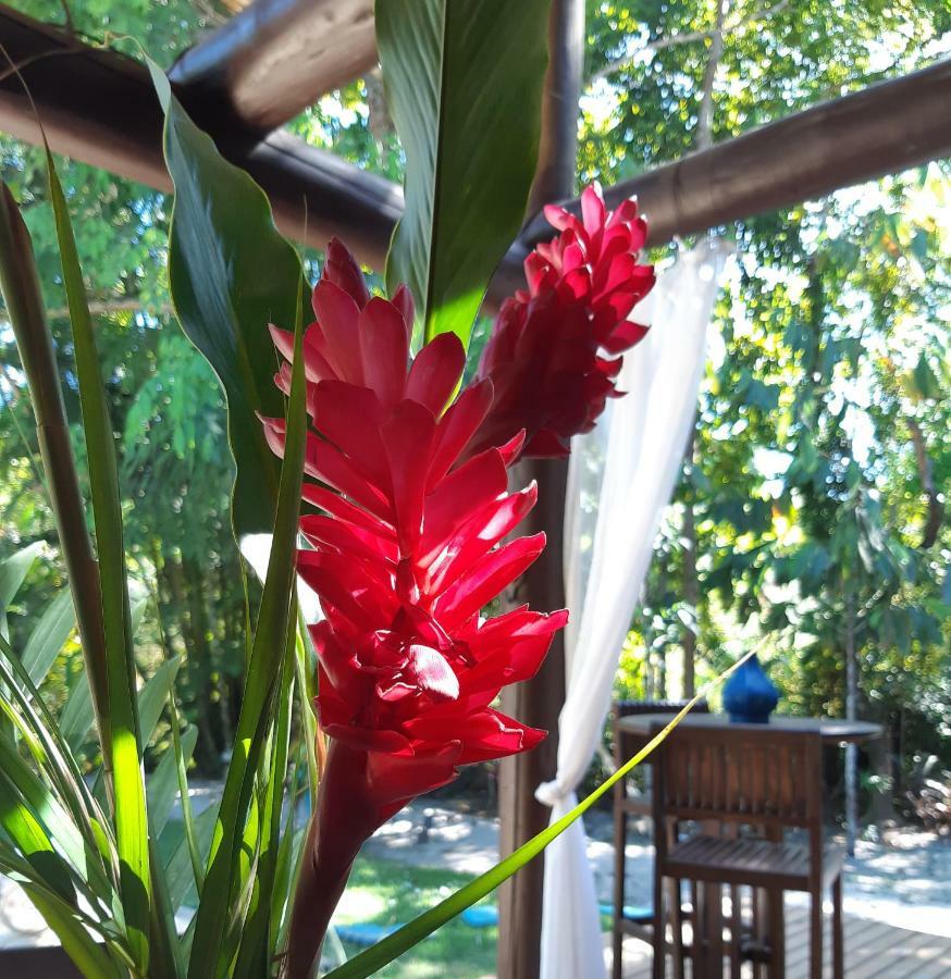 Mata N'Ativa Pousada Trancoso Buitenkant foto