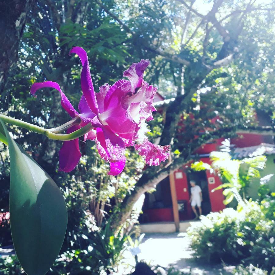 Mata N'Ativa Pousada Trancoso Buitenkant foto