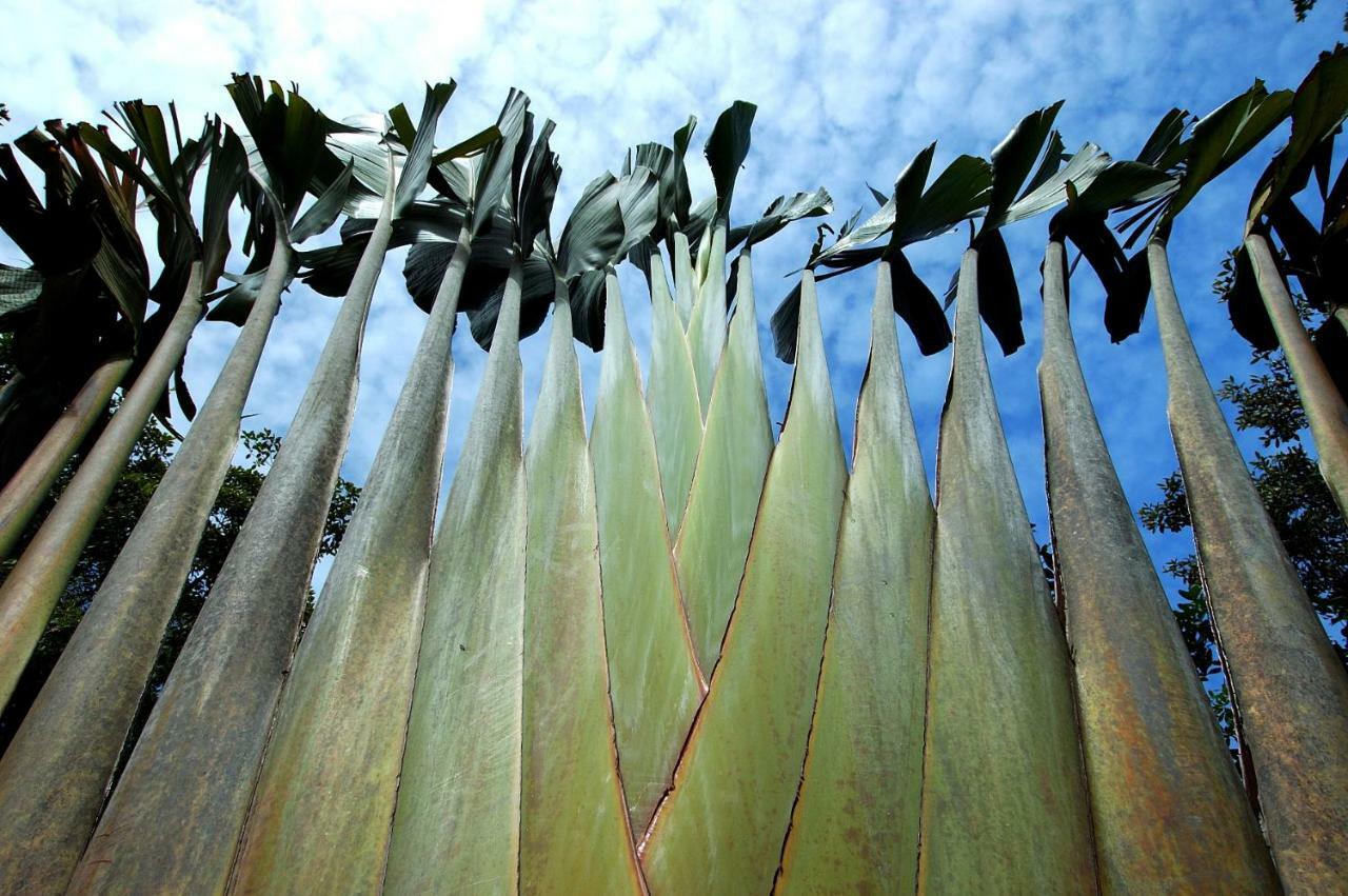 Mata N'Ativa Pousada Trancoso Buitenkant foto